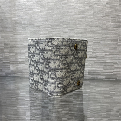 CD Saddle Lotus Wallet Gray Dior Oblique Jacquard