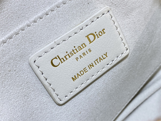 CD Small Dior Caro Top Handle Camera Bag Macrocannage Calfskin Latte