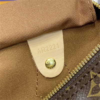L.V Speedy Bandoulière 25 Monogram Canvas M41113