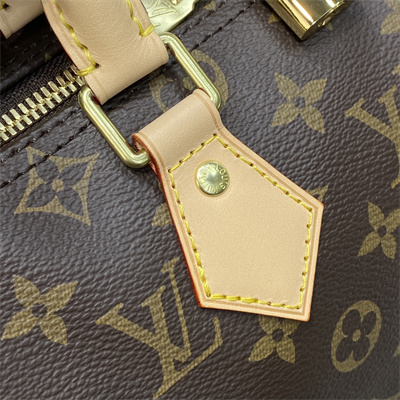 L.V Speedy Bandoulière 25 Monogram Canvas M41113