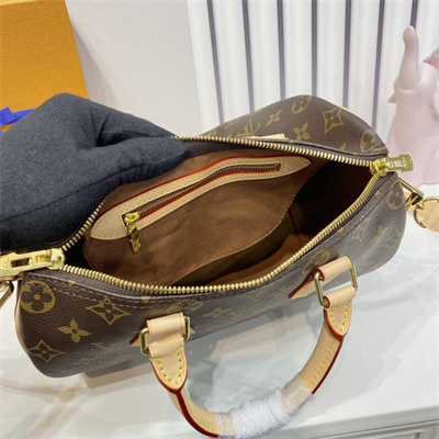 L.V Speedy Bandoulière 25 Monogram Canvas M41113