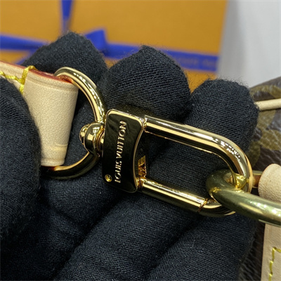 L.V Speedy Bandoulière 30 Monogram Canvas M41112