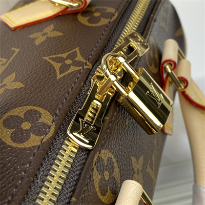 L.V Speedy Bandoulière 20 Monogram Canvas M46222