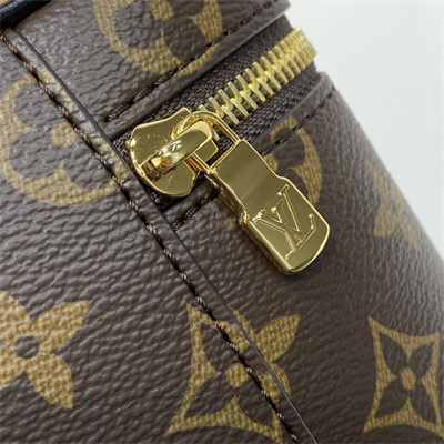L.V Vanity Chain Pouch In Monogram Canvas M47125