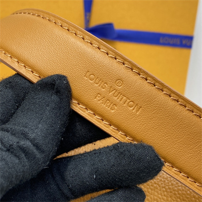 LV Side Trunk PM Bag Grained Calfskin Brown M23818