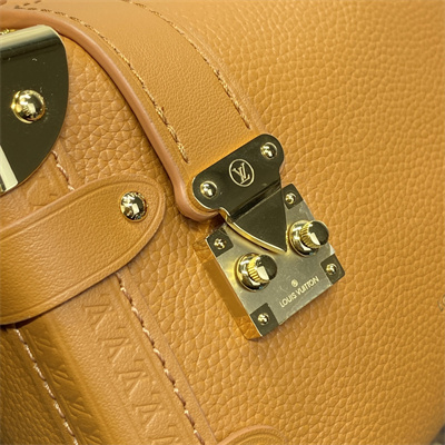 LV Side Trunk PM Bag Grained Calfskin Brown M23818
