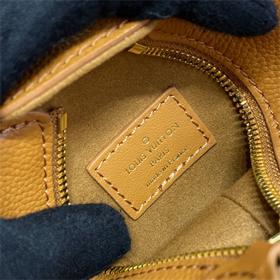 LV Side Trunk PM Bag Grained Calfskin Brown M23818