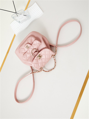 Cha.nel Duma Backpack Lambskin Gold Tone Metal Pink AS2908