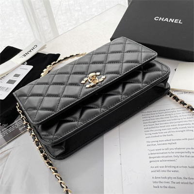 Chanel Clutch With Chain Lambskin Gold Tone Metal Black AP3795