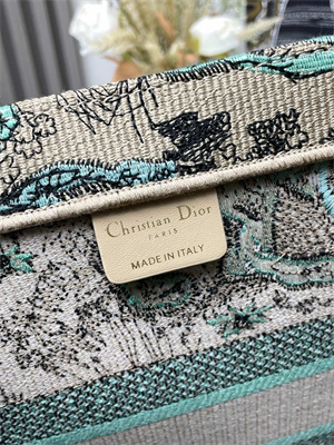 CD Medium Dioriviera Dior Book Tote Raffia with Aquamarina Toile de Jouy Sauvage Embroidery Green