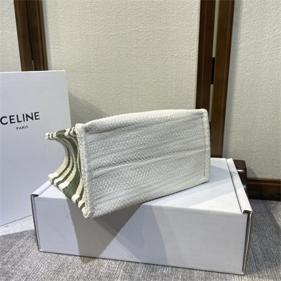 Celine Small Cabas Thais In Striped Textile With Calfskin White/Green