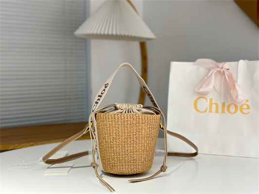 Chloe Small Woody Tote Bag In Nature Fibers 6865