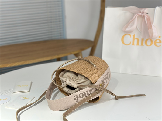 Chloe Small Woody Tote Bag In Nature Fibers 6865