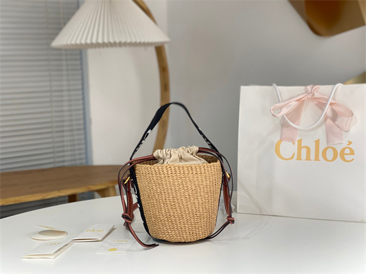 Chloe Small Woody Tote Bag In Nature Fibers 6865