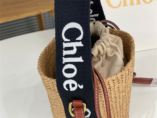 Chloe Small Woody Tote Bag In Nature Fibers 6865