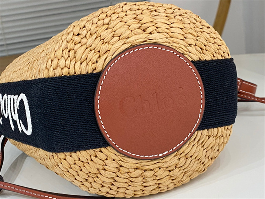 Chloe Small Woody Tote Bag In Nature Fibers 6865