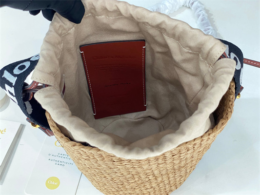 Chloe Small Woody Tote Bag In Nature Fibers 6865