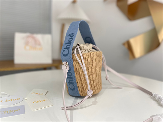 Chloe Small Woody Tote Bag In Nature Fibers 6865