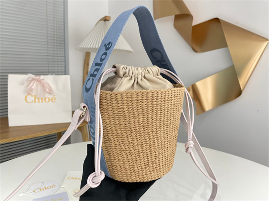 Chloe Small Woody Tote Bag In Nature Fibers 6865