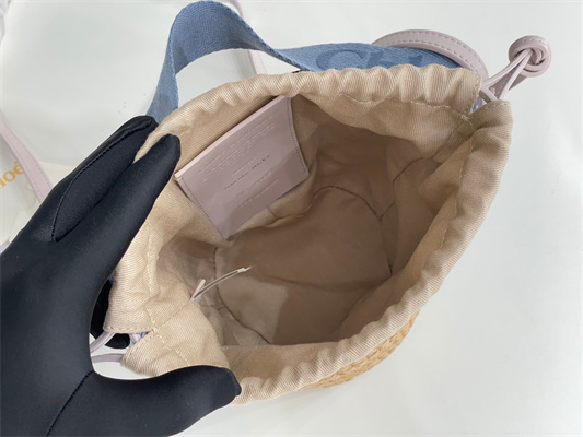 Chloe Small Woody Tote Bag In Nature Fibers 6865