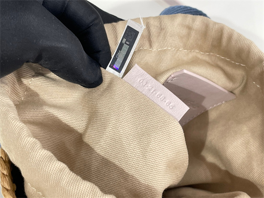 Chloe Small Woody Tote Bag In Nature Fibers 6865