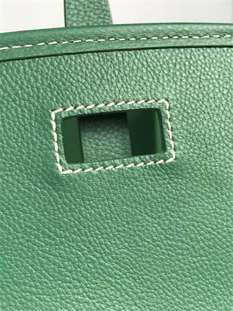 Belvedere PM Bag Goyardine Canvas & Decize Taurillon Leather Green