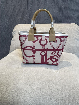 Her.mes Steeple Handbag Hplume Canvas and Swift Calfskin multicolor Printing HS