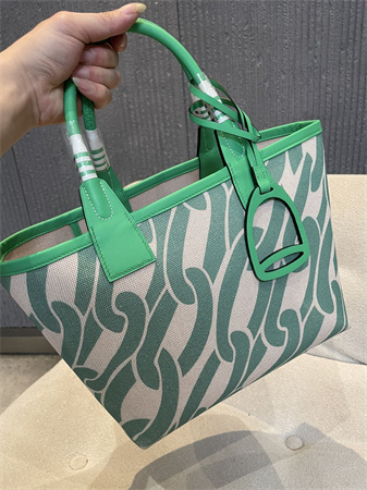 Her.mes Steeple Handbag Hplume Canvas and Swift Calfskin multicolor Printing HS