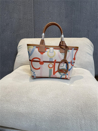 Her.mes Steeple Handbag Hplume Canvas and Swift Calfskin multicolor Printing HS