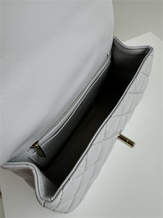 Chanel Mini Flap Bag With Top Handle Charm Lambskin Gold Tone Metal Grey AS2431