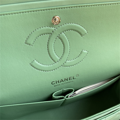 Chanel Medium Classic Flap Bag Lambskin Silver Tone Metal Lt Green 01112