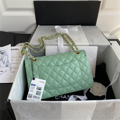 Chanel Medium Classic Flap Bag Lambskin Gold Tone Metal Lt Green 01112