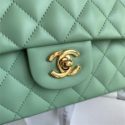 Chanel Medium Classic Flap Bag Lambskin Gold Tone Metal Lt Green 01112
