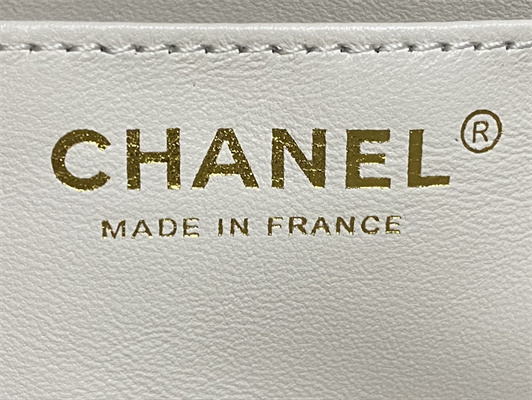 Chanel Mini Flap Bag With Top Handle Shinny Lambskin Gold Tone Metal White AS4924