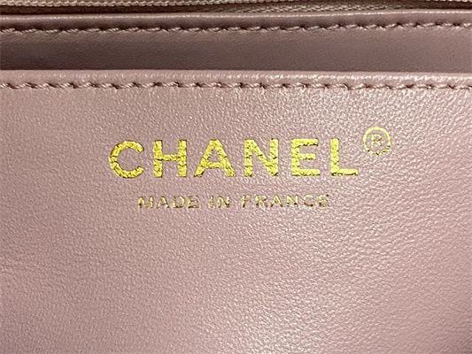 Chanel Mini Flap Bag With Top Handle Shinny Lambskin Gold Tone Metal Pink AS4924