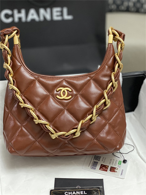 Chanel Small Hobo Bag Shiny Lambskin Gold Tone Metal Brown AS4922