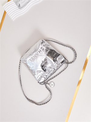 Chanel 22 Mini Handbag Metallic Calfskin Silver Tone Metal Silver AS3980