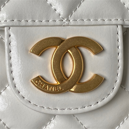 Chanel Hobo Bag Shinny Calfskin Gold Tone Metal White AS3690