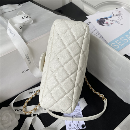 Chanel Small Hobo Bag Grained Calfskin Gold Tone Metal White AS3710