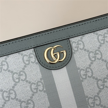 Gu.cci Ophidia GG Pouch Supreme Canvas Grey Blue 625549