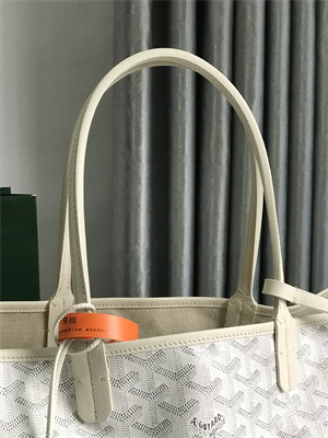 Goyard Saint Louis PM Bag In Goyardine Canvas & Chevroches Calfskin