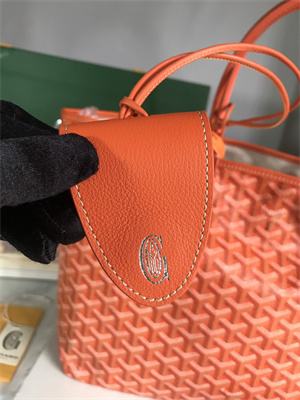 Goyard Saint Louis PM Bag In Goyardine Canvas & Chevroches Calfskin