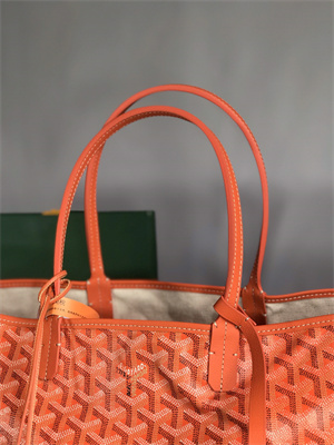 Goyard Saint Louis PM Bag In Goyardine Canvas & Chevroches Calfskin
