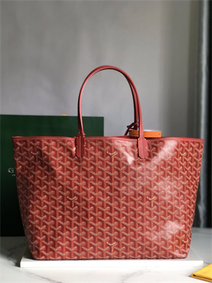 Goyard Saint Louis PM Bag In Goyardine Canvas & Chevroches Calfskin