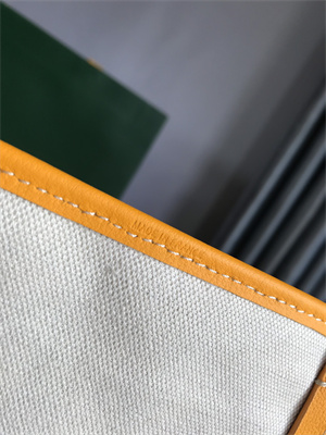 Goyard Saint Louis PM Bag In Goyardine Canvas & Chevroches Calfskin