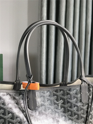 Goyard Saint Louis PM Bag In Goyardine Canvas & Chevroches Calfskin