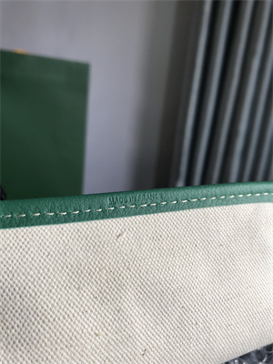 Goyard Saint Louis PM Bag In Goyardine Canvas & Chevroches Calfskin