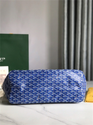 Goyard Saint Louis PM Bag In Goyardine Canvas & Chevroches Calfskin