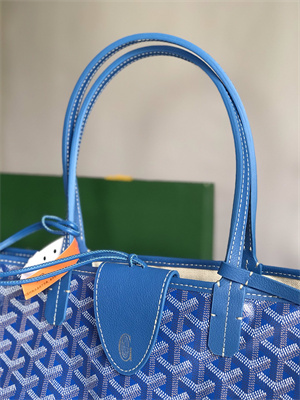 Goyard Saint Louis PM Bag In Goyardine Canvas & Chevroches Calfskin