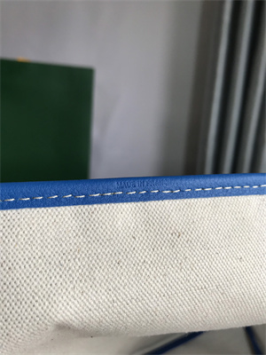 Goyard Saint Louis PM Bag In Goyardine Canvas & Chevroches Calfskin